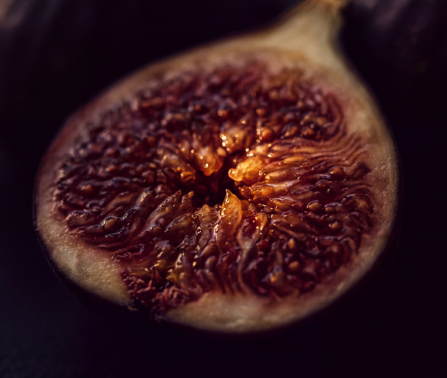FIG AND CASSIS