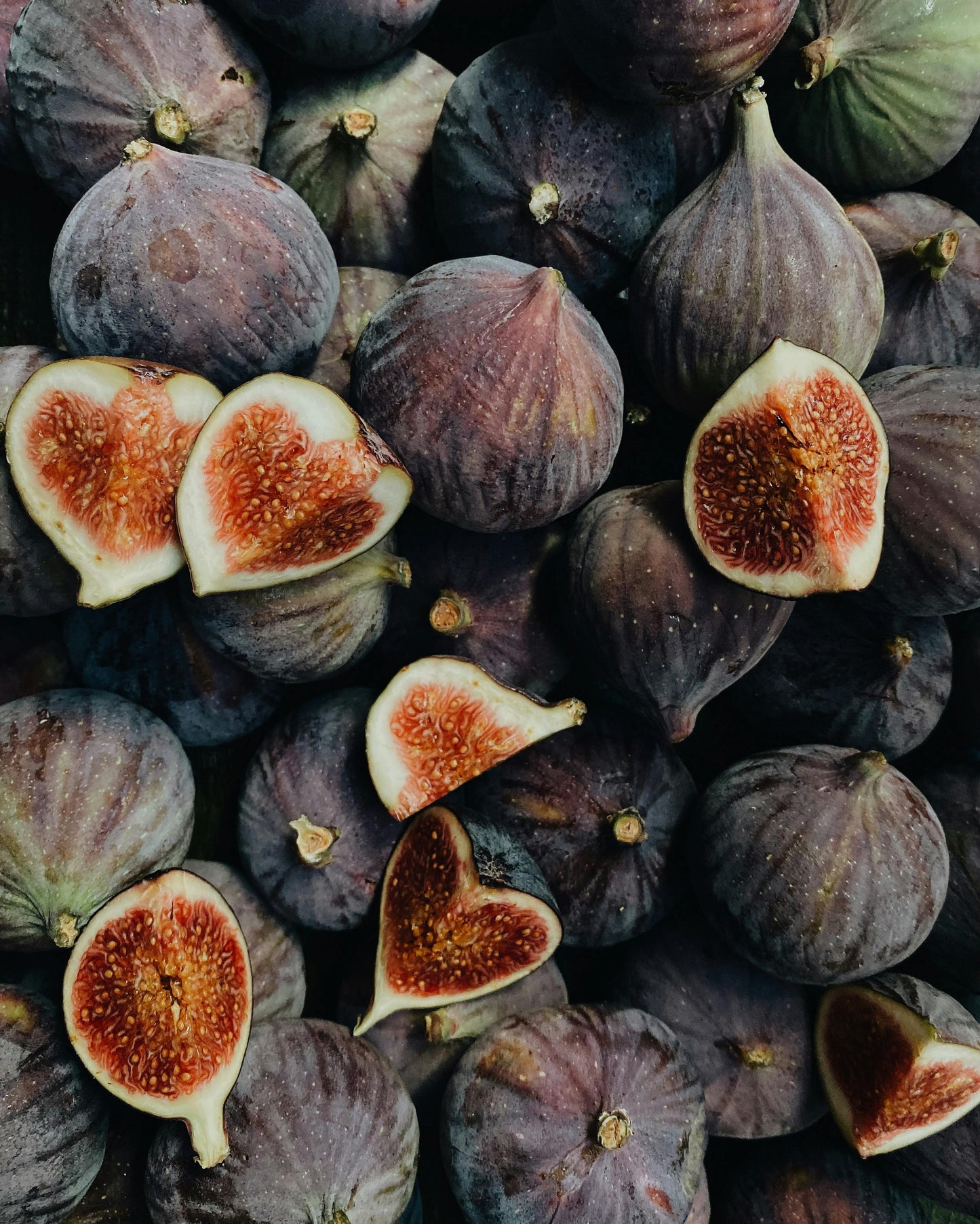 FIG AND CASSIS